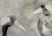 Fototapeta Wiosenna miłość ptaków – motyw żurawi w odcieniach szarości 138845 additionalThumb 3