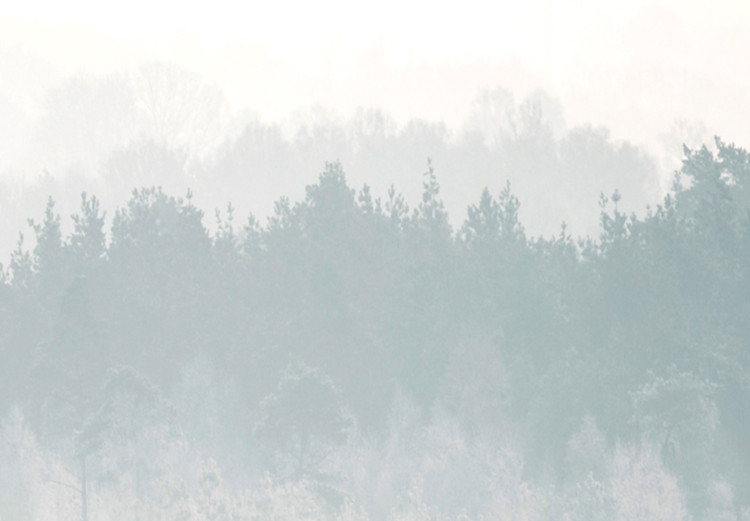 Obraz Zimowy las (3-częściowy) 108175 additionalImage 4