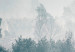Obraz Zimowy las (3-częściowy) 108175 additionalThumb 5