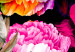Obraz Piwonie w kolorowej oprawie (1-częściowy) - ogród pełen kwiatów natury 117985 additionalThumb 4