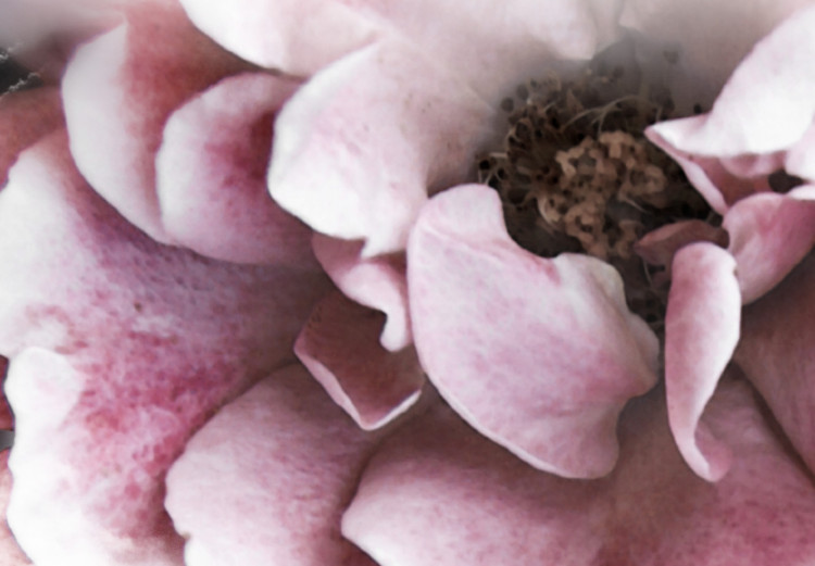 Obraz Sacrum Profanum - przenikające się zdjęcia chmur i różowych kwiatów 122785 additionalImage 5