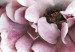 Obraz Sacrum Profanum - przenikające się zdjęcia chmur i różowych kwiatów 122785 additionalThumb 5