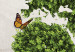 Obraz Zielona kraina motyli 55385 additionalThumb 4