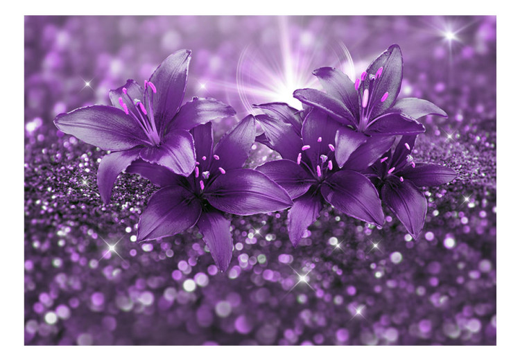 Fototapeta Klejnoty natury - kwiaty lilie w fioletowej kompozycji z blaskiem 90316 additionalImage 1