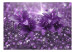Fototapeta Klejnoty natury - kwiaty lilie w fioletowej kompozycji z blaskiem 90316 additionalThumb 1