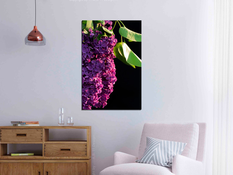 Obraz Lilak pospolity - zdjęcie fioletowego kwiatu i liści na czarnym tle 121626 additionalImage 3