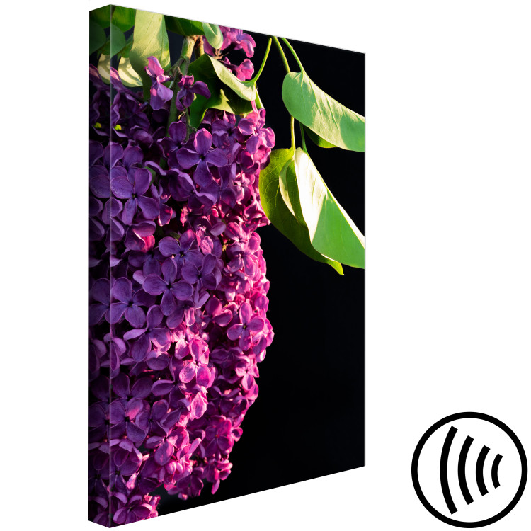 Obraz Lilak pospolity - zdjęcie fioletowego kwiatu i liści na czarnym tle 121626 additionalImage 6