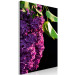 Obraz Lilak pospolity - zdjęcie fioletowego kwiatu i liści na czarnym tle 121626 additionalThumb 2