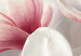 Obraz Magnolia w rozkwicie (5-częściowy) szeroki 107236 additionalThumb 4