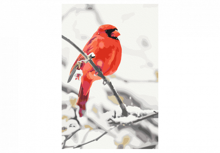 Obraz do malowania po numerach Czerwony ptak 131436 additionalImage 7