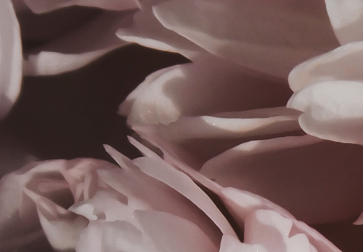 Obraz Kwiaty w cieniu - pastelowa kompozycja kwiatowa w stylu boho 135736 additionalImage 4