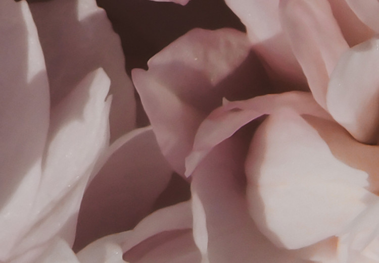 Obraz Kwiaty w cieniu - pastelowa kompozycja kwiatowa w stylu boho 135736 additionalImage 5