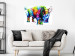 Obraz Kolorowy nosorożec (1-częściowy) szeroki 126956 additionalThumb 3