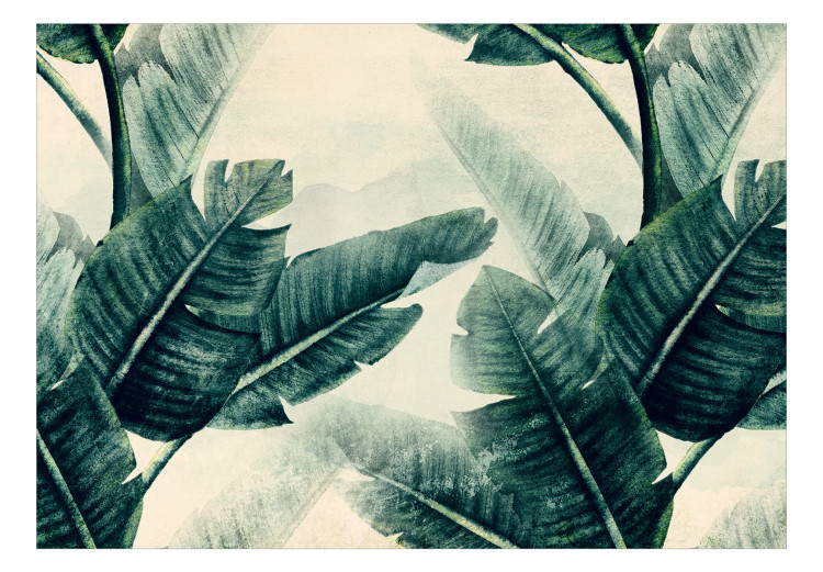 Fototapeta Abstrakcyjna natura w żółtych tonach - tropikalne liście bananowca 135976 additionalImage 1