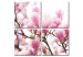 Obraz Kwitnące drzewo magnolii 58776