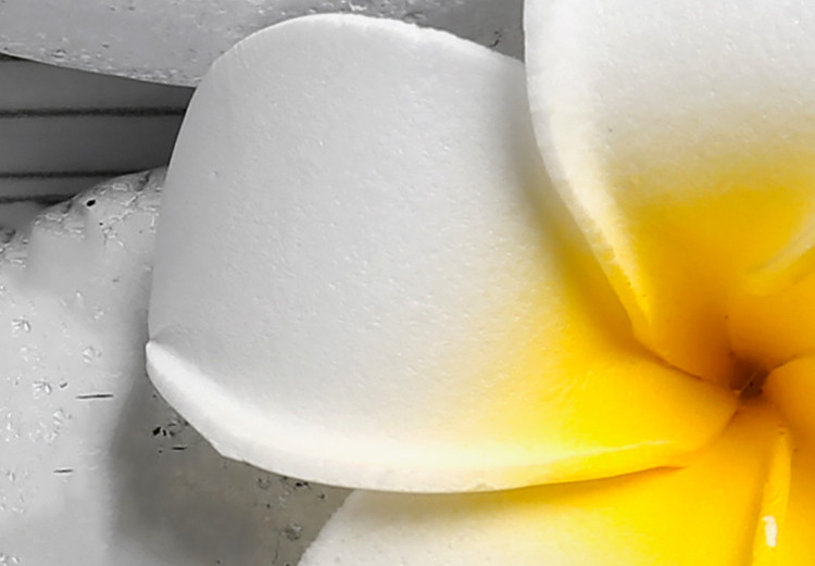 Obraz Białe kamienie i kwiaty - czteroczęściowa kompozycja w stylu zen 128786 additionalImage 5