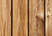 Fototapeta Sosnowa elegancja - jasne tło o teksturze brązowych desek z drewna 94286 additionalThumb 3