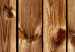 Fototapeta Sosnowa elegancja - jasne tło o teksturze brązowych desek z drewna 94286 additionalThumb 4