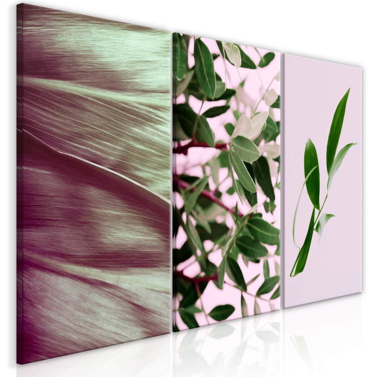 Obraz Tryptyk z liśćmi - kompozycja składająca się z różnych rodzajów liści 124407 additionalImage 2