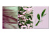 Obraz Tryptyk z liśćmi - kompozycja składająca się z różnych rodzajów liści 124407
