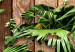 Obraz Dżungla świata (3-częściowy) 125117 additionalThumb 5