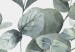 Obraz Liście eukaliptusa - pejzaż z motywem botanicznym na białym tle 137217 additionalThumb 4