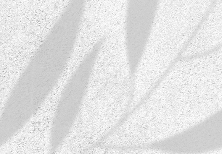 Fototapeta Liściaste złudzenie - cień liści roślin na betonowym białym tle 145117 additionalImage 3