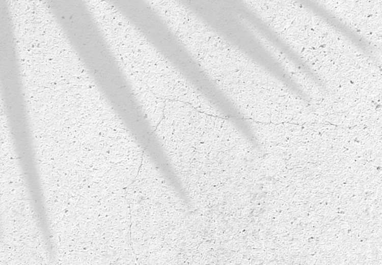 Fototapeta Liściaste złudzenie - cień liści roślin na betonowym białym tle 145117 additionalImage 4