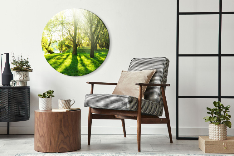Obraz w kształcie koła Słoneczny las - zdjęcie drzew oświetlonych letnimi promieniami 148717 additionalImage 2