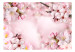 Fototapeta Wiosenny kwiat wiśni 62327 additionalThumb 1