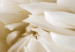 Obraz koło Biały kwiat - rozwinięty pąk w ciepłym kremowym świetle 148737 additionalThumb 3
