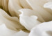 Obraz koło Biały kwiat - rozwinięty pąk w ciepłym kremowym świetle 148737 additionalThumb 2