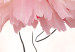 Plakat Tancerka - lineart baletnicy w sukience z różowych płatków kwiatów 148557 additionalThumb 4