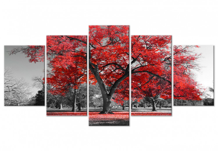 Obraz Jesień w parku (5-częściowy) szeroki czerwony 122767