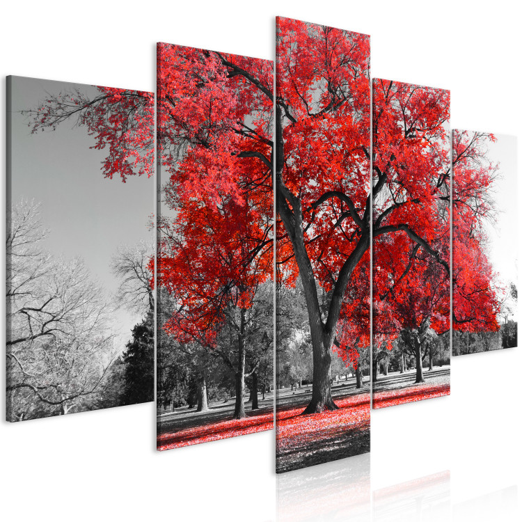Obraz Jesień w parku (5-częściowy) szeroki czerwony 122767 additionalImage 2