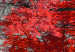 Obraz Jesień w parku (5-częściowy) szeroki czerwony 122767 additionalThumb 4