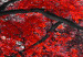 Obraz Jesień w parku (5-częściowy) szeroki czerwony 122767 additionalThumb 5