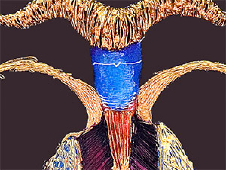 Obraz Rogata postać - abstrakcyjna, kolorowa sylwetka na fioletowym tle 49067 additionalImage 3