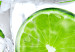Obraz Mrożona limonka - martwa natura przedstawiająca owoc zamrożony w kostce lodu na białym tle 58787 additionalThumb 5
