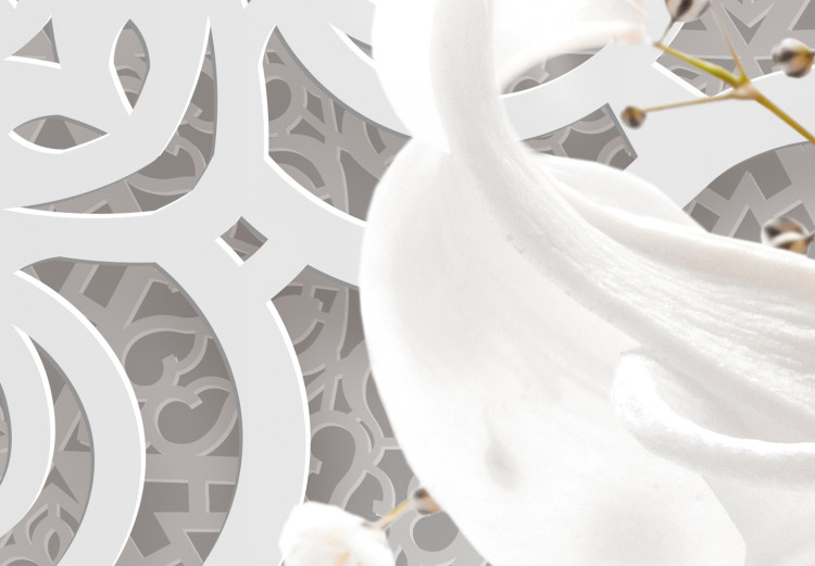 Fototapeta Egzotyczne ornamenty - kompozycja z motywem kwiatowym na białym tle 108097 additionalImage 3