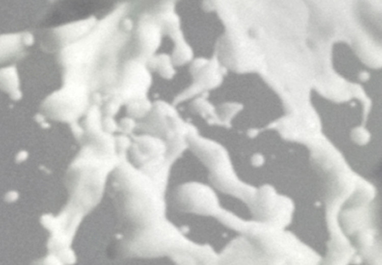 Fototapeta Twarze czarno-białe - abstrakcja z kobiecymi postaciami na szarym tle 106608 additionalImage 3