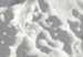 Fototapeta Twarze czarno-białe - abstrakcja z kobiecymi postaciami na szarym tle 106608 additionalThumb 3