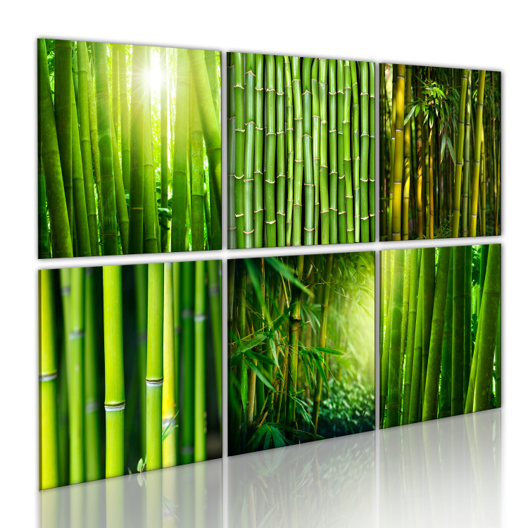 Obraz Bambus w kilku odsłonach 58808 additionalImage 2