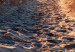 Obraz koło Wspomnienie wakacji - zachód słońca na piaszczystej plaży 148618 additionalThumb 2