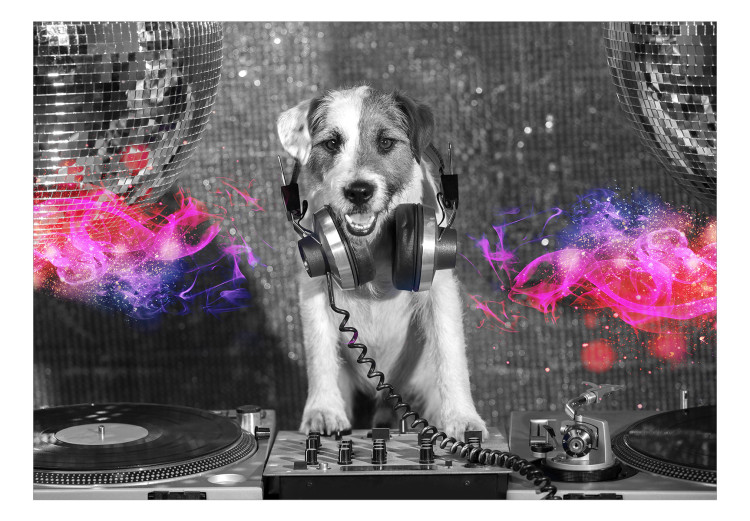 Fototapeta Pies DJ - zabawna abstrakcja w odcieniach szarości z motywem muzyki 129028 additionalImage 1