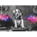 Fototapeta Pies DJ - zabawna abstrakcja w odcieniach szarości z motywem muzyki 129028 additionalThumb 3