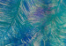 Fototapeta Egzotyczny motyw - niebieskie pawie pióra na szarym betonowym tle 134948 additionalThumb 4