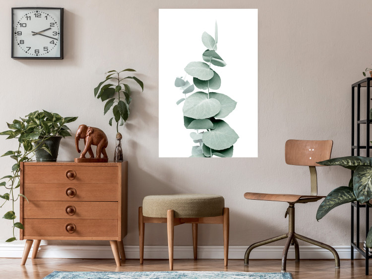 Plakat Eukaliptus - zielona gałązka rośliny na białym tle 146148 additionalImage 13
