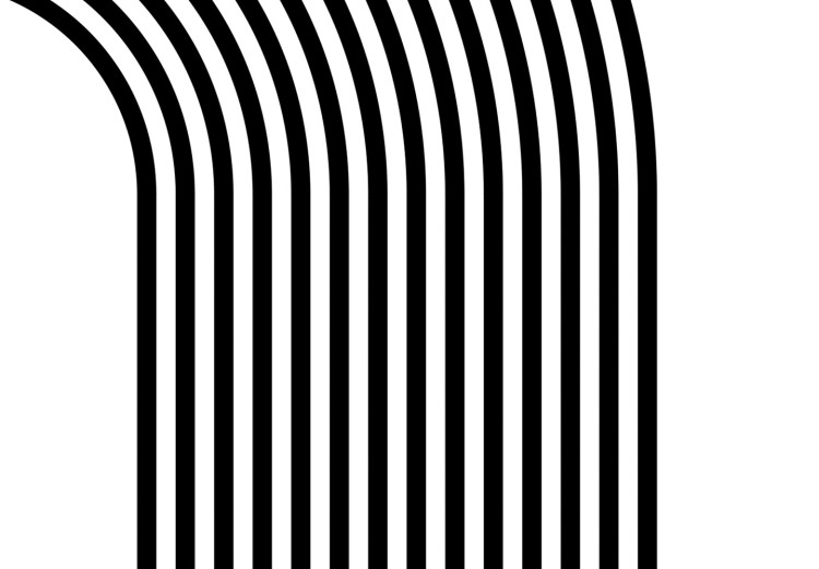 Obraz Hipnotyczne linie - czarno-biała abstrakcja przedstawiająca koła  125658 additionalImage 4