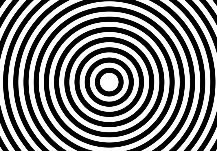 Obraz Hipnotyczne linie - czarno-biała abstrakcja przedstawiająca koła  125658 additionalImage 5